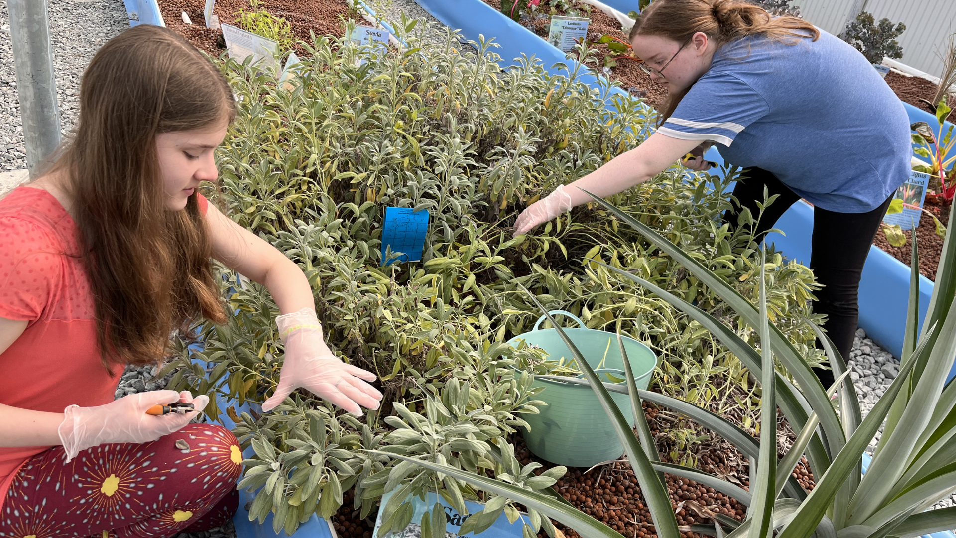 NNTC Agriculture Program